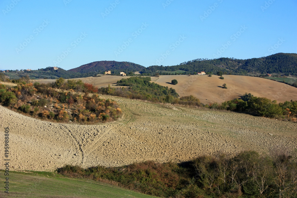 Fototapeta premium Cultivated fields in Tuscany, Italy