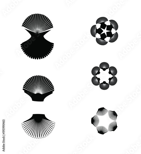 Ornaments Shells 2