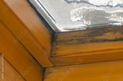 black mold on the window frame, after the leak