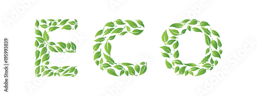 Eco text made from leaves. Environmental concept. Isolated background.