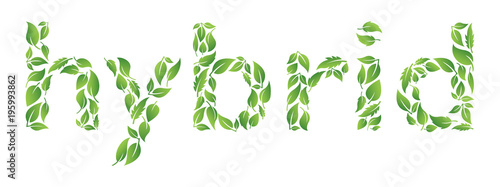 Hybrid text made from leaves. Environmental concept. Isolated background. 