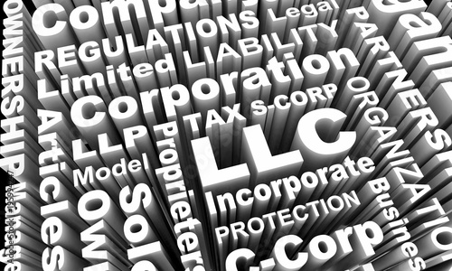 Foto LLC LLP S- C-Corp Business Types Models Words 3d Illustration