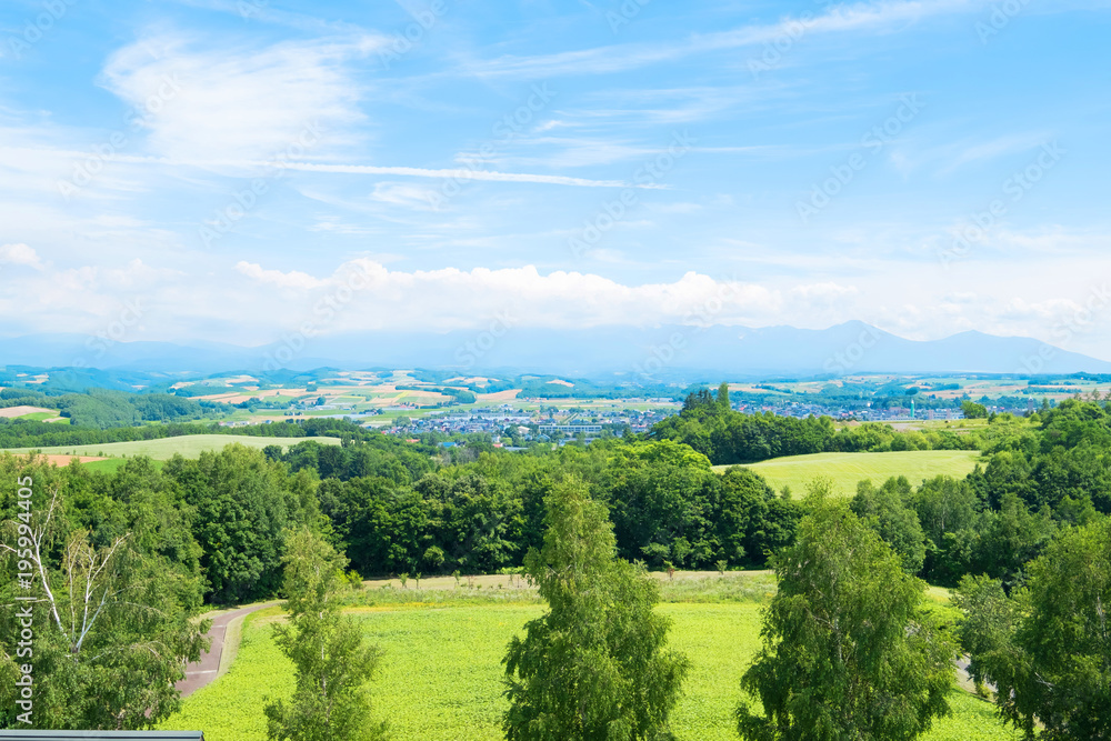 Obraz premium landscape of asahikawa town