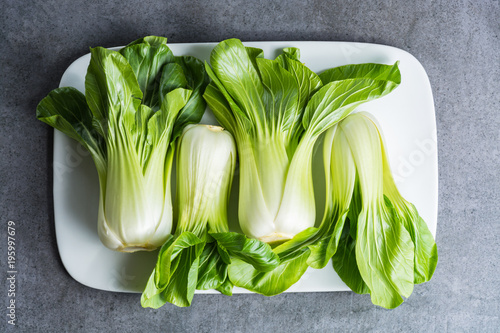 Photography Fresh raw baby Bok choy or pak choi Chinese cabbage