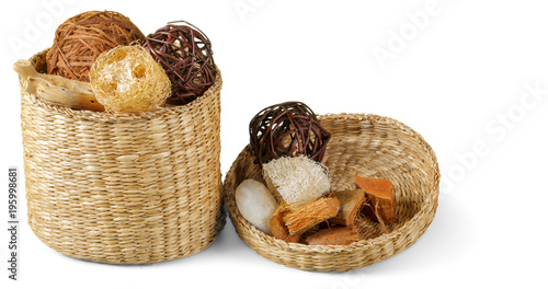 set of dry autumn plants and leaves, dried petals and flowers, simple rustic branches and wheat bunch on white