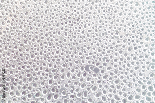 Drops on the glass, white abstract background, texture