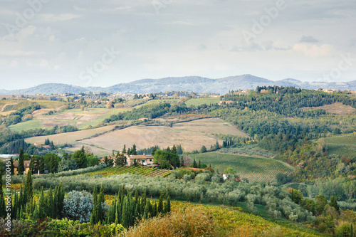 Typical Tuscany evening landscape with wineyards and villas. Italy travel postcard.