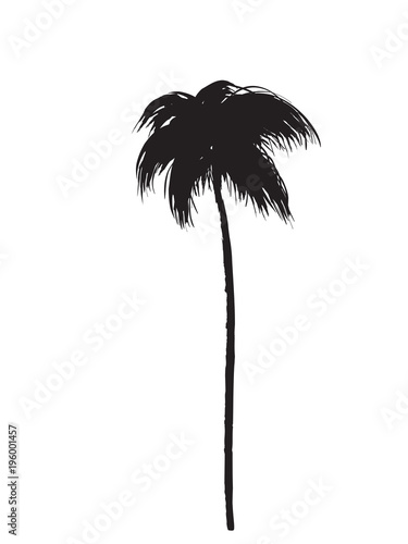 palm tree icon on white background