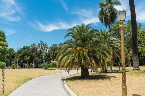 exotic palm trees in the park of Buenos Aires © Andriy Petrenko