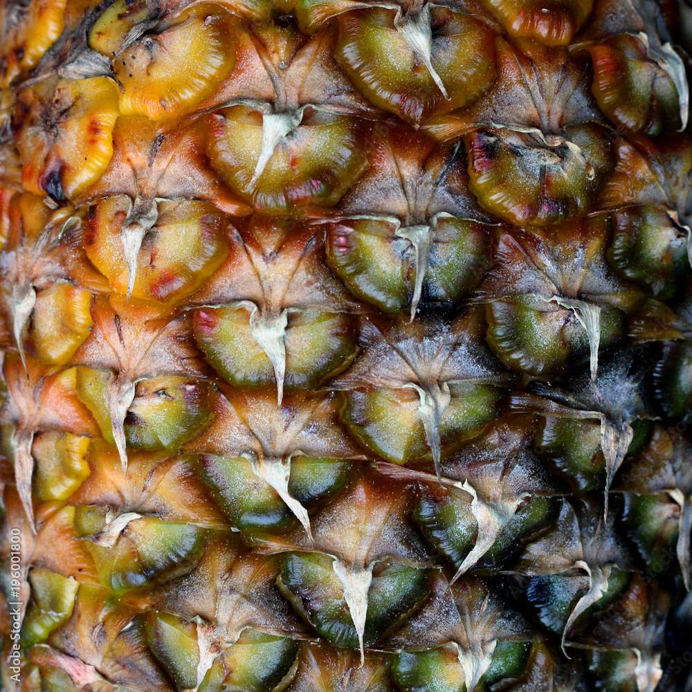 Pineapple texture closeup Pineapple texture closeup