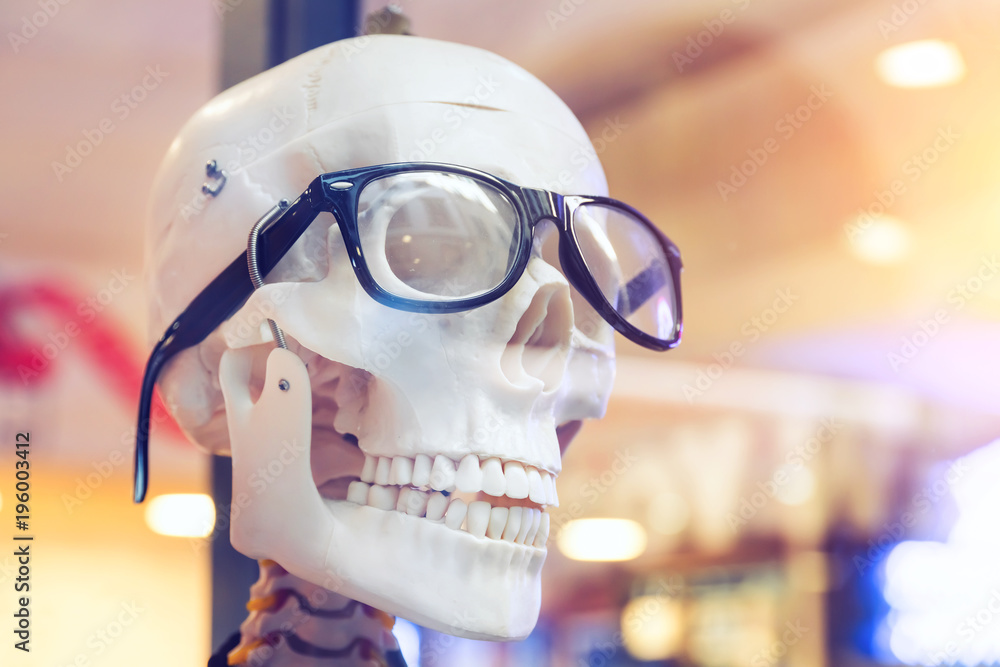 Model of a human skull in glasses Model of a human skull in glasses