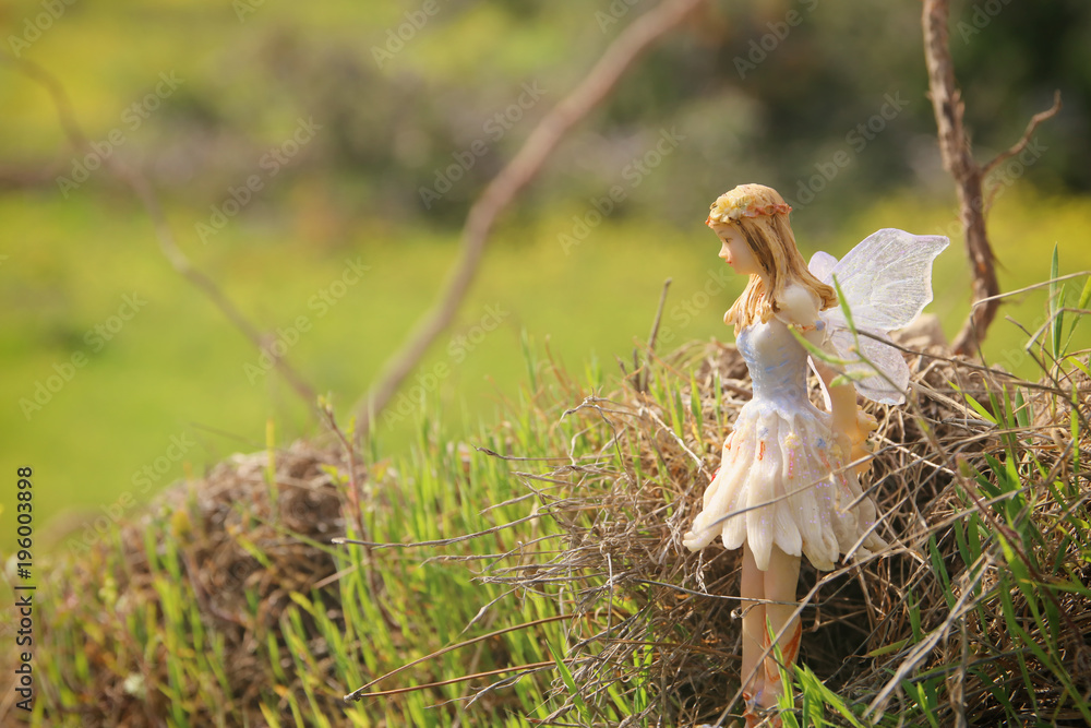 image of magical little fairy in the forest. image of magical little fairy in the forest.