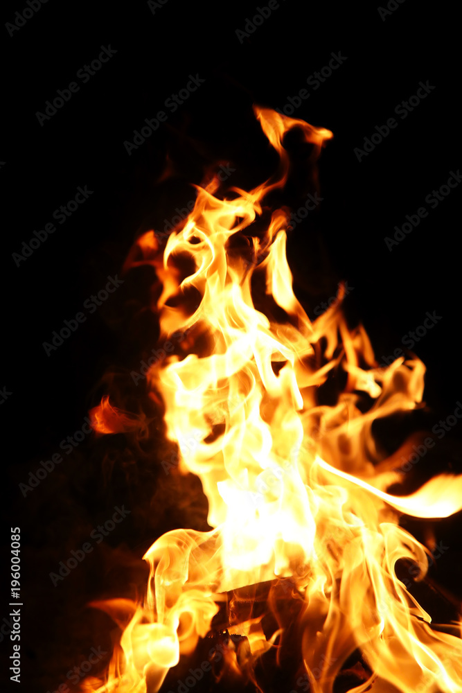 Tongues of flame of fire of orange-yellow color from burning fir Tongues of flame of fire of orange-yellow color from burning fir