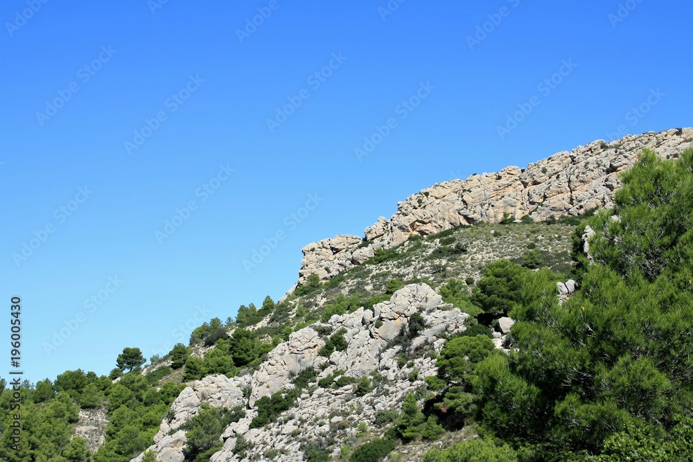 escarpment with blue sky and oine forest