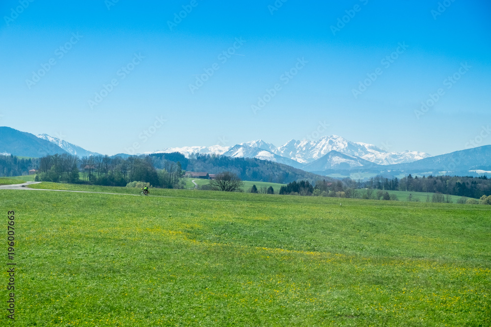 Obraz premium Snowy Alps mountains behind a green meadow