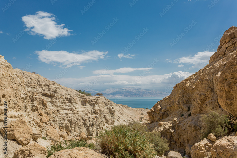 Ein Gedi Reserve, Israel