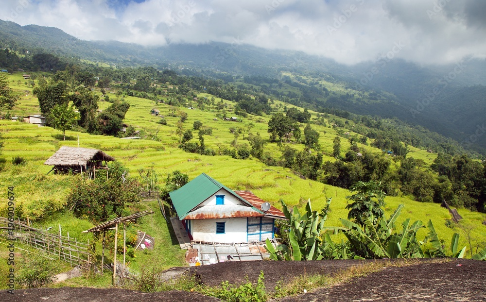 paddy field and primitive small house