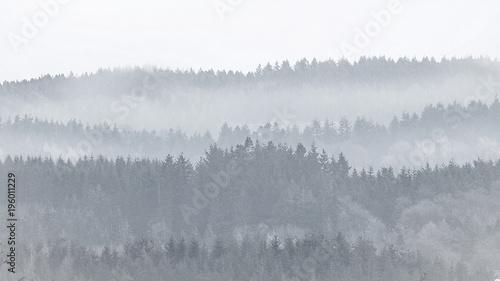 Rural winter foggy woodland landscape © kim