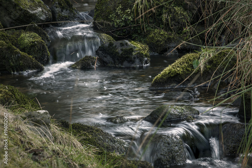 Rural woodland stream Shropshire UK