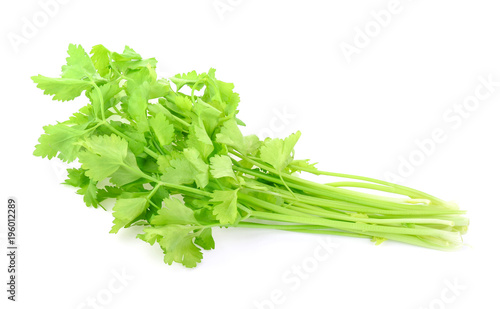 Chinese Celery isolated on white background