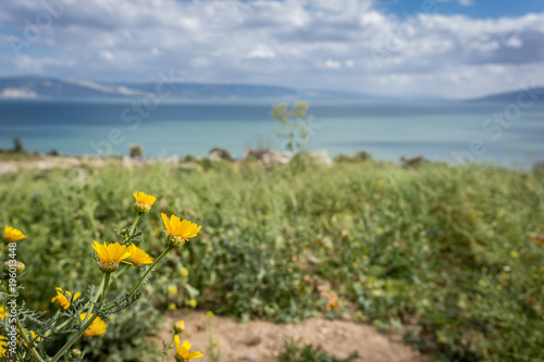Sea of Galilee, Israel © Dennis