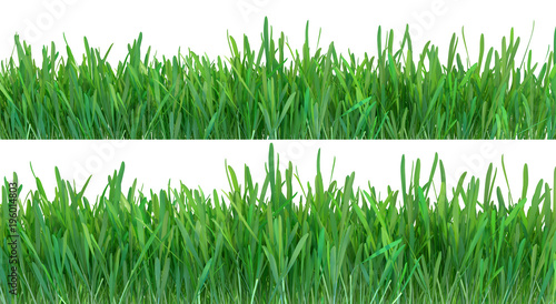 Green grass set. Nature background. Meadow. Spring, summer season. Plant growth 3d rendering