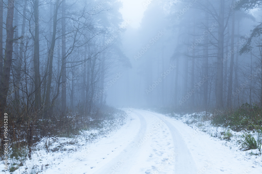 Woodland track in Winter Mist. Woodland track in Winter Mist.