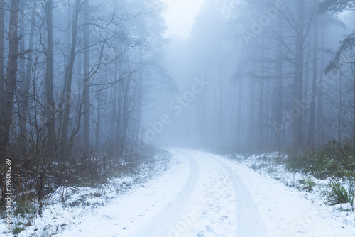 Woodland track in Winter Mist. © Ian