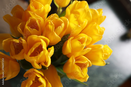 A bouquet of fresh yellow tulips in a vase