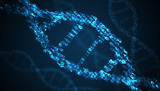 Binary code inside DNA helix. 3D rendered illustration.