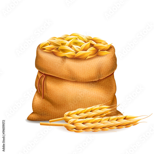 Vector realistic bag with unrefined wheat grains, barley with wheat ears isolated on white background. Design element. Bread and harvest theme. Food and feed. 3d illustration.