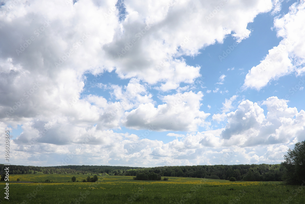 Landscape is summer. Green trees and grass in a countryside land Landscape is summer. Green trees and grass in a countryside land