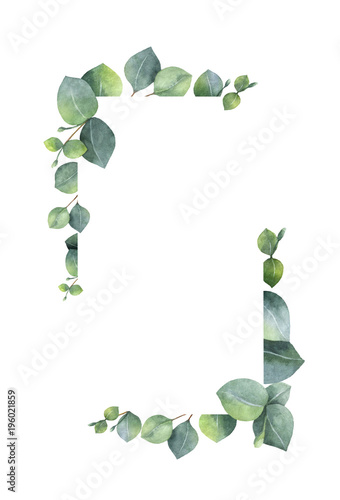 Watercolor banner with green eucalyptus leaves and branches.