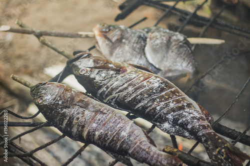 Fish being grilled in indigenous traditional method. São Gabriel da Cachoeira, Amazon / Brazil photo