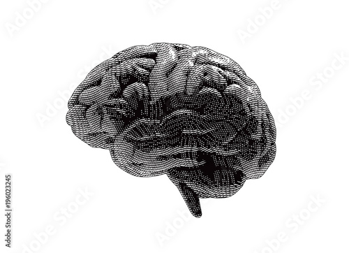 Dark engraved human brain illustration