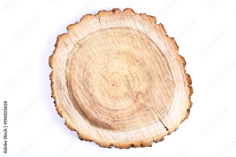Detailed piece of circular flat cut wood showing annual rings, cracks, bark and texture Slice an oak tree like a wooden plate grove tree trunk showing isolated on white background. Detailed piece of circular flat cut wood showing annual rings, cracks, bark and texture Slice an oak tree like a wooden plate grove tree trunk showing isolated on white background.