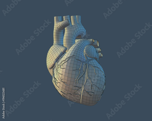 3D human heart with wireframe on blue BG