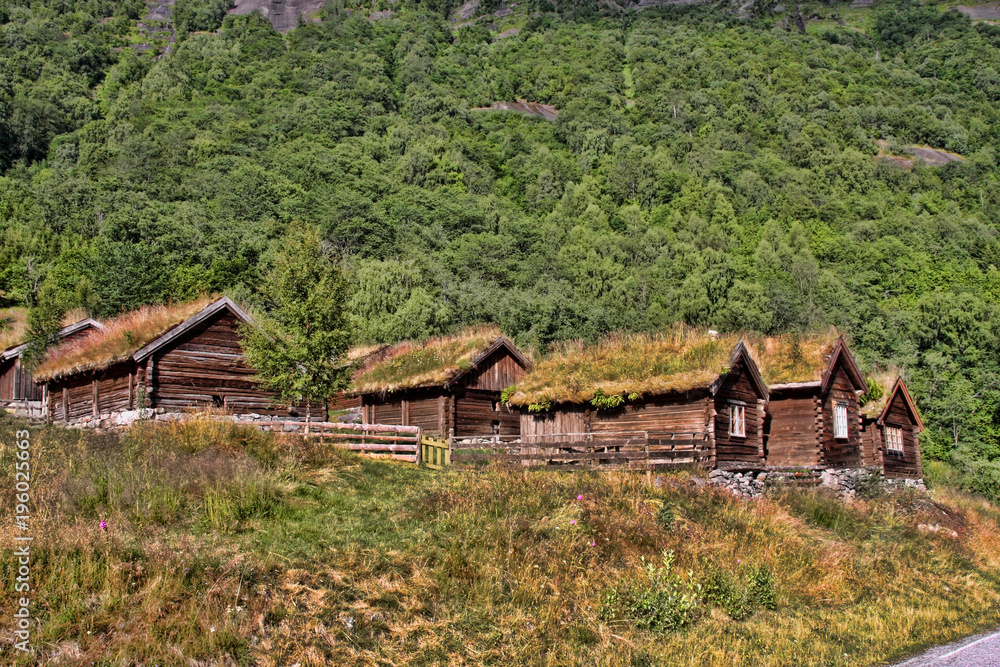 The beauty of Norway's summer Norwegian landscape