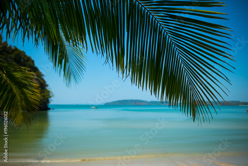 Travel concept. Scenic view on the sea  sky and hills across palm branches. Focus on branches. Boats and trees on the background