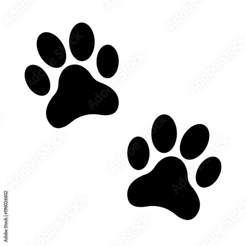 animal footprint vector