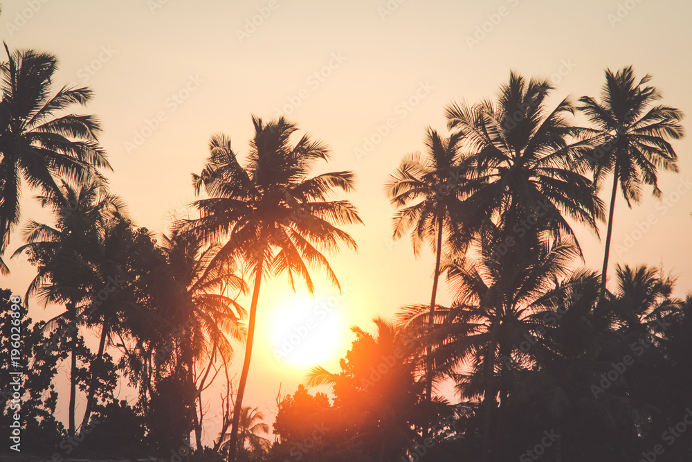 Obraz premium Sunrise