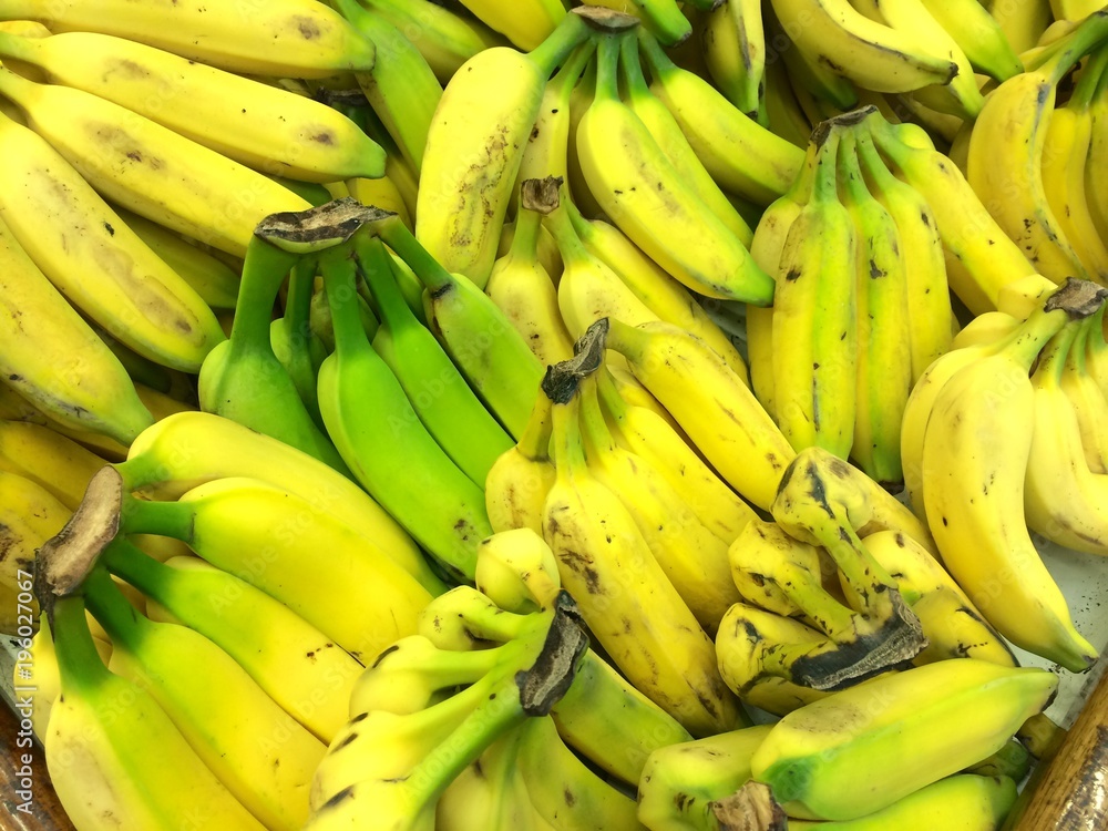 Many banana bunches