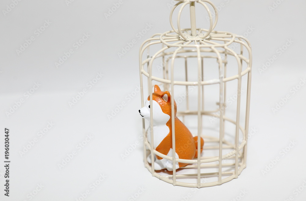 Animal abuse dog in cage isolated white background