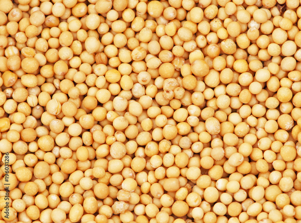 Mustard seeds for a food and drink concept. Mustard seeds for a food and drink concept.