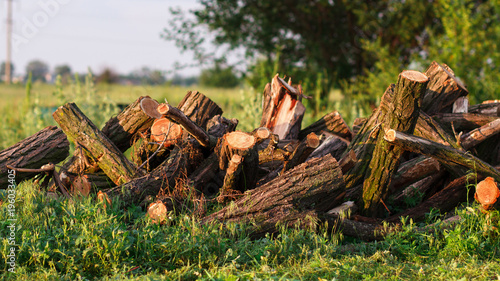 Fototapeta Naklejka Na Ścianę i Meble -  Stack of firewood in garden on the grass