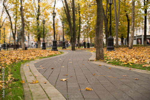 Autumn leaves on the pedestrian passage with trees which disappearing in blurry perspective