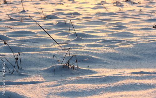 Mounds in the snow.