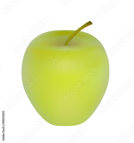 Vector illustration  one whole ripe green realistic apple with tail isolated on white background