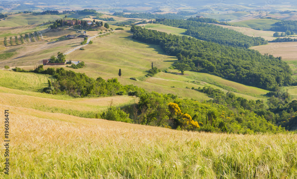 Tuscan landscape, fields and meadows on a warm sunny day Tuscan landscape, fields and meadows on a warm sunny day