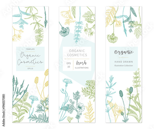 Vector floral templates.